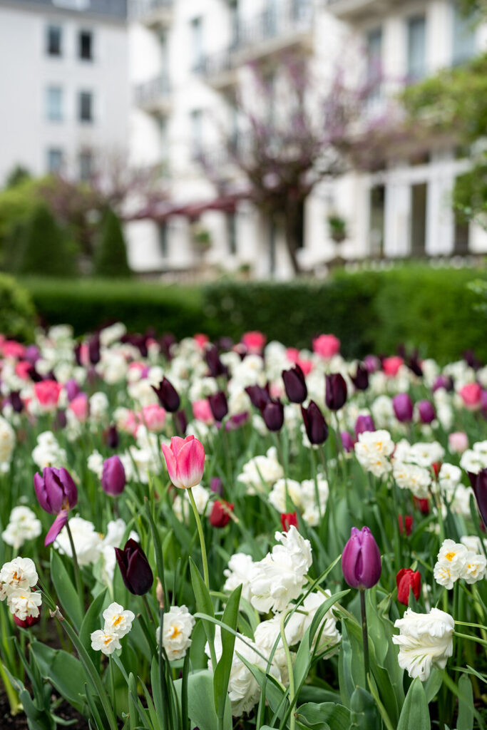 2025 Hot Hotel Openings