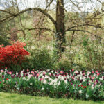 Airplane Pet Peeves + Radical Mentor Cindy Novotny