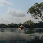 How to Build A Billion-Dollar Business